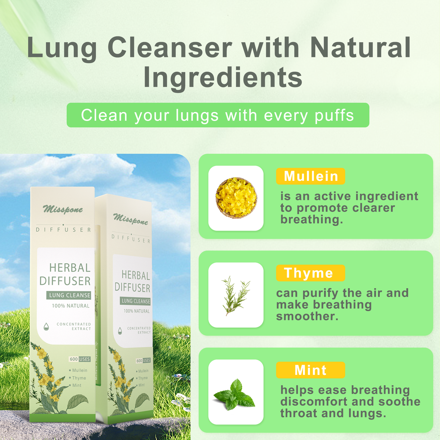 New Upgrade Mullein Aroma Diffuser