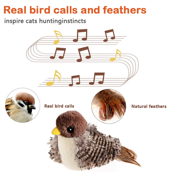 Chirping Chaser Bird