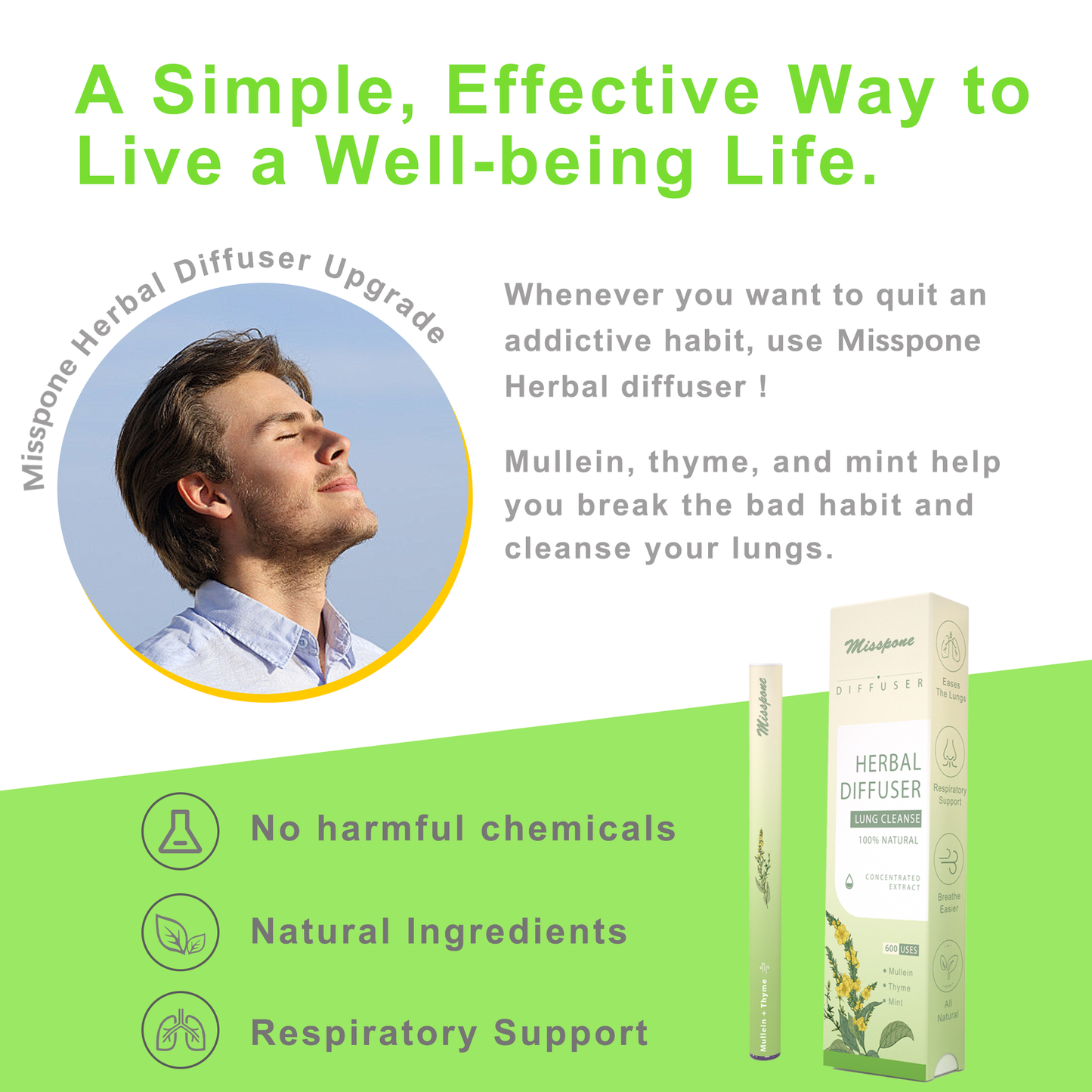 New Upgrade Mullein Aroma Diffuser